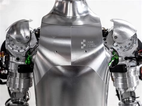 Humanoid Robotics 的图像结果