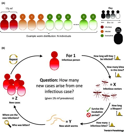 Image result for Extinction Process