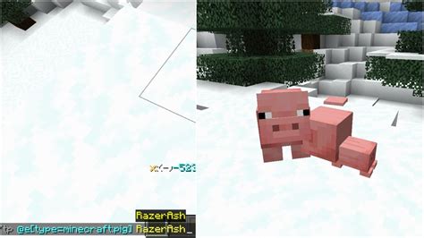 Command to Be Animal Minecraft Java 的图像结果