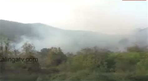 Four main causes of deforestation in Odisha, watch