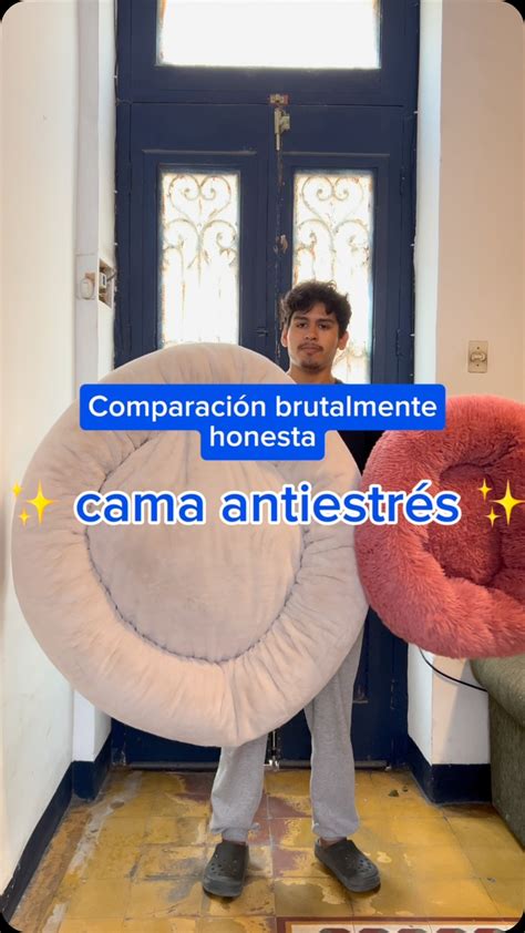 Woofbed 🐶🐱 (@woofbed.pe) • Instagram photos and videos