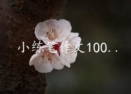 小练笔作文100字10篇（精选） - 828啦