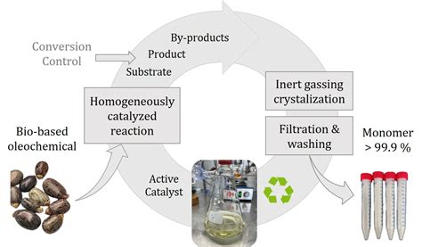 Polymer-Grade Bio-Monomers from Oleochemicals by Combining Homogeneous ...