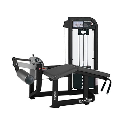 Fitness Gym Equipment Manufacturers & Suppliers in India at best Price ...