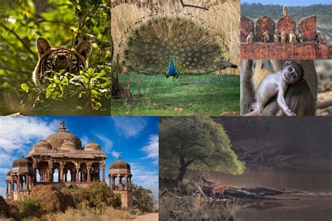 10 Best Cities in Rajasthan to visit