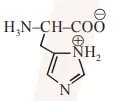 The correct structure of histidine in a strongly acidic solution