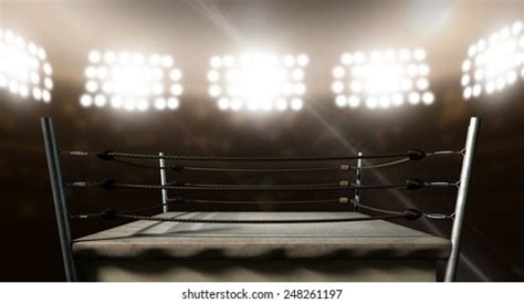 Professional Boxing 的图像结果