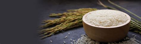 CEO's Message - Indus Agro Commodities