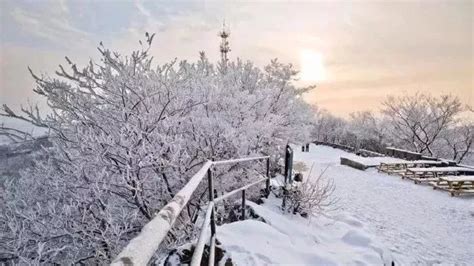 南京2018年的初雪,你期待吗?|紫金山|初雪|下雪_新浪新闻