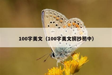 100字美文（100字美文摘抄初中）_励志文章_喜文网-汇集经典美文美句大全