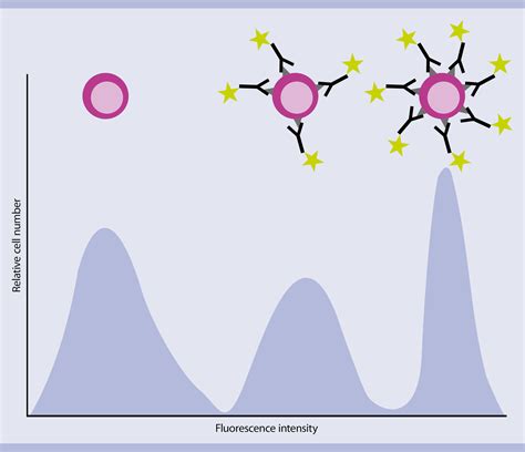 Flow Cytometry Explained 的图像结果