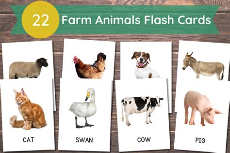 22 Farm Animals Cards | Montessori Flash Card | Real Pictures Cards ...