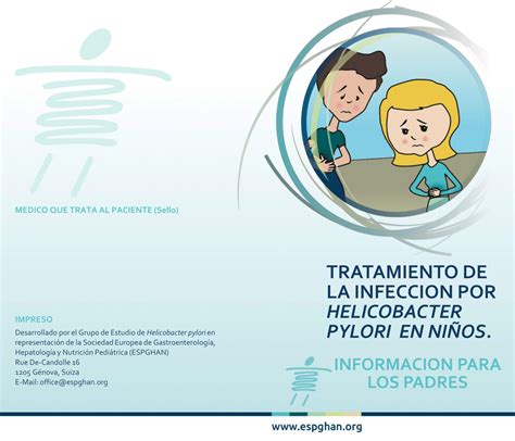Tratamiento Helicobacter Pylori Effective Regimens For Helicobacter