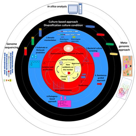 In Silico/In Vitro Strategies Leading to the Discovery of New ...