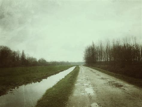 Local Optima Problem 的图像结果