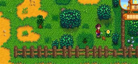 Stardew Valley Duck Feathers: Uses & How To Get Them - FandomSpot