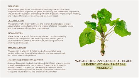 Top 5 Wasabi Health Benefits for Women – gardenix