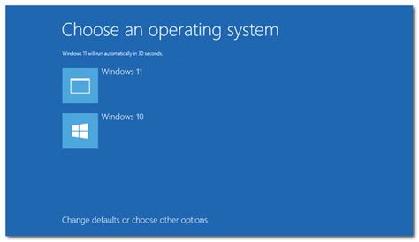 Image result for How to Remove Linux From Dual Boot Windows 11