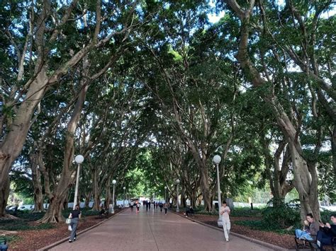 Exhibition: Neurodiverse-friendly public open spaces., The Gallery ...