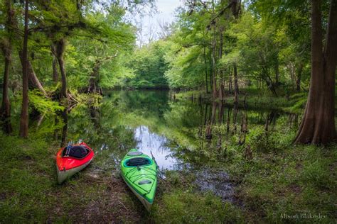 Alachua Conservation Trust
