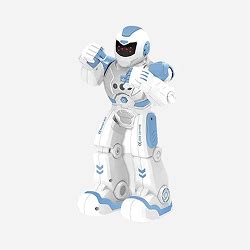 Humanoid Robots