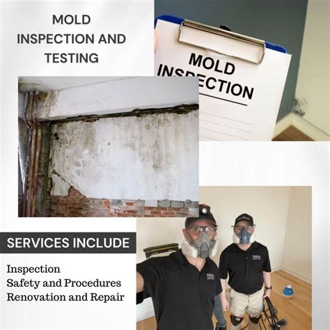 Mold Inspection Testing | Hurricane LLC