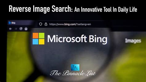 Search Using Image Bing 的图像结果