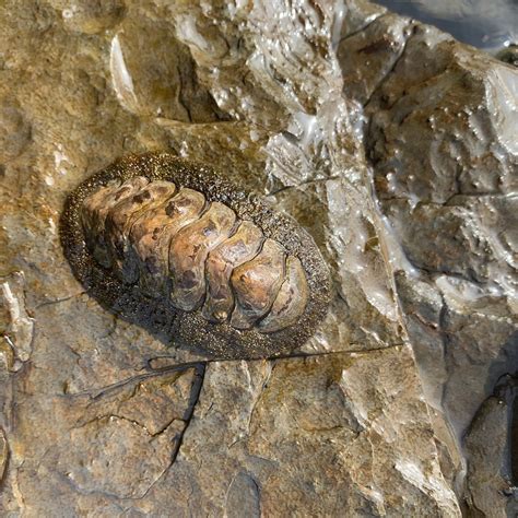 TUNG PING CHAU MARINE PARK (2026) All You Need to Know BEFORE You Go ...