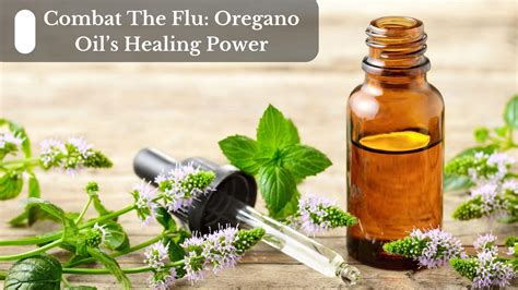 Combat The Flu: Oregano Oil's Healing Power