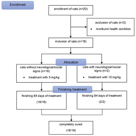 Curing Cats with Feline Infectious Peritonitis with an Oral Multi ...