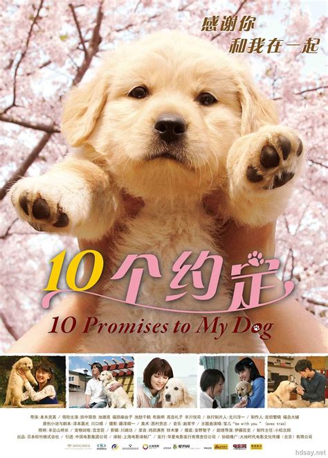 [狗狗与我的十个约定(国粤日台四语)][MKV/8.5GB][1080P双字][2008日本爱情]-HDSay高清乐园