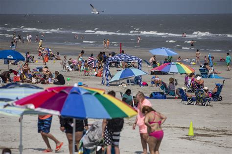 Shark fishing limits possible on the Isle of Palms