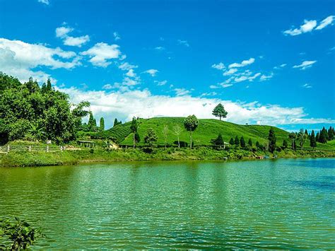 Ilam, Nepal: a blend of land, culture, and economy | Meer