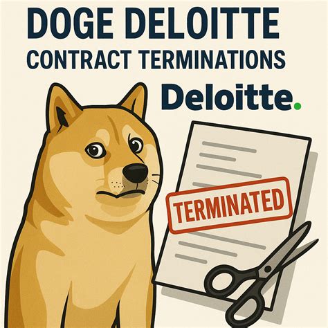 DOGE Deloitte Contract Terminations: The Complete Guide - Dogs Care ...
