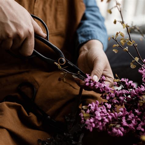 Image result for Barebones Java