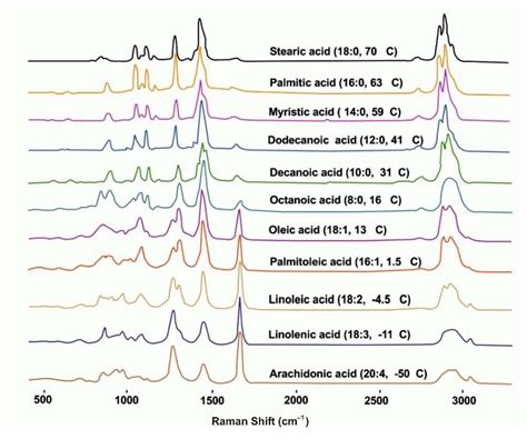 Raman Spectroscopy and Its Modifications Applied to Biological and ...
