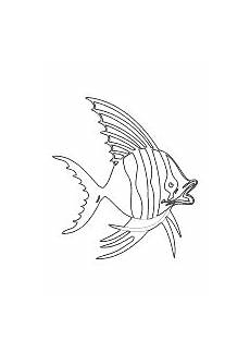 malvorlagen fische muscheln malvorlage fisch fische ausmalbilder fische malvorlage malvorlagen fische muscheln malvorlage fisch fische ausmalbilder fische malvorlage