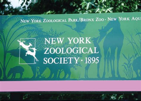 Bronx Zoo Signage | Behance