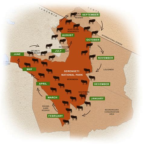 When to See the Great Migration - Blog - Iconic Africa