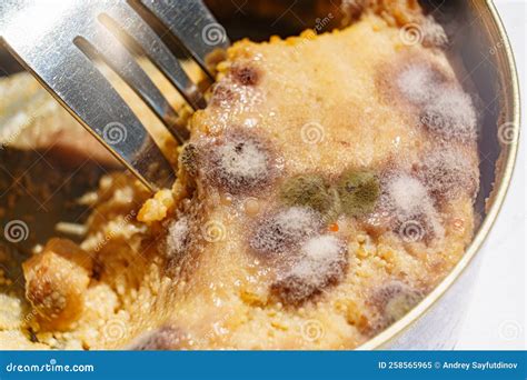 Close Up. Fork in Canned Food. Multi-colored Mold on Canned Food Stock ...
