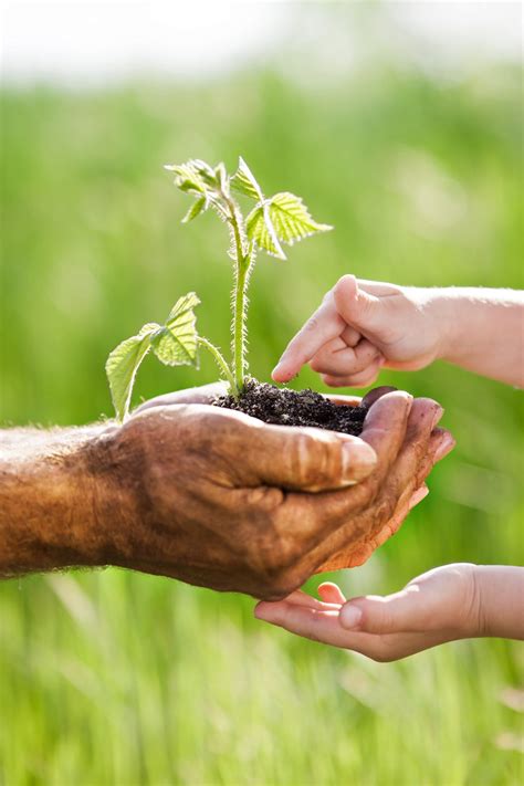 Farming Learning 的图像结果