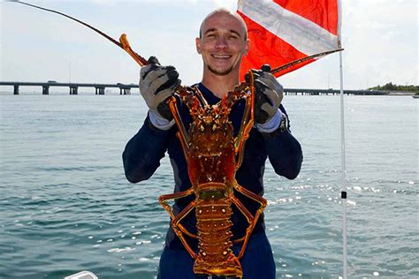 Lobster hunters get ready as 2025 spiny season nears | Niceville.com