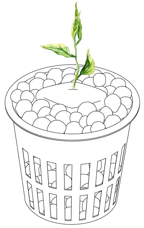 2020_05_21-Grow-Pot-02 - Superflux