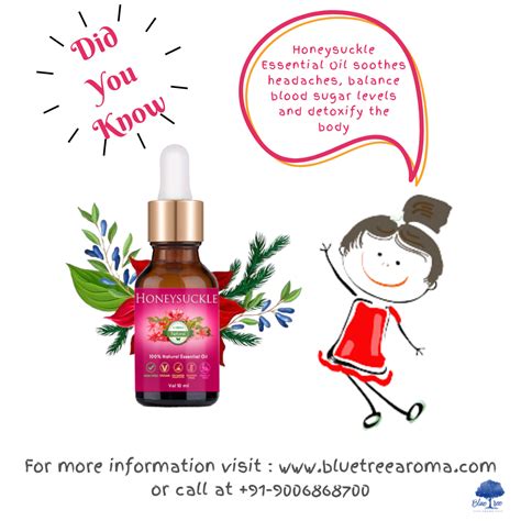 Honeysuckle Essential Oil – Blue Tree Aroma