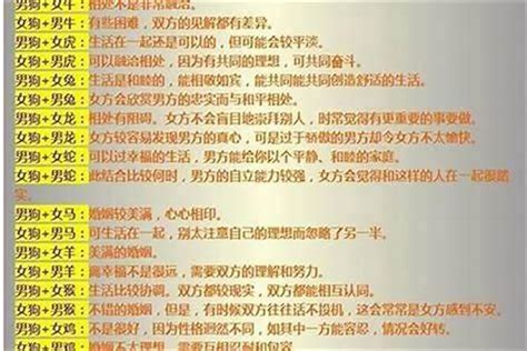 “我说大师，你算命那么准，怎么就没算到我要来抓你呢？”_哔哩哔哩_bilibili