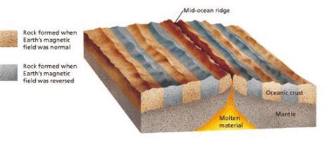 How do magnetic stripes of iron in ocean rock provide evidence of ...