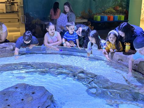 Discovery Cube OC Year End Appeal - Discovery Cube