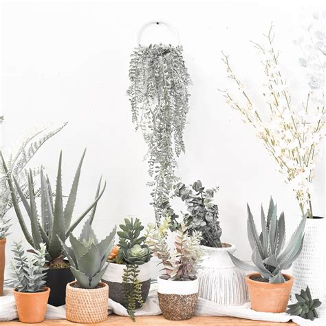 PD Home and Garden - PD Home and Garden