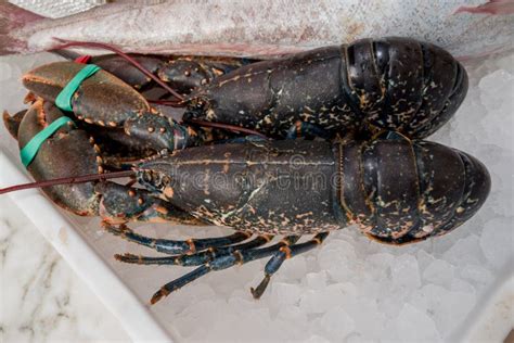 Image result for Local Market