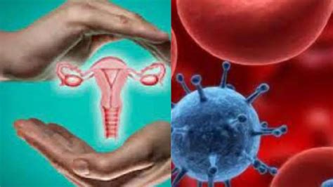 Uterus Cancer : महिलाओं में बढ़ रहा गर्भाशय कैंसर का खतरा, 40 के बाद हो ...